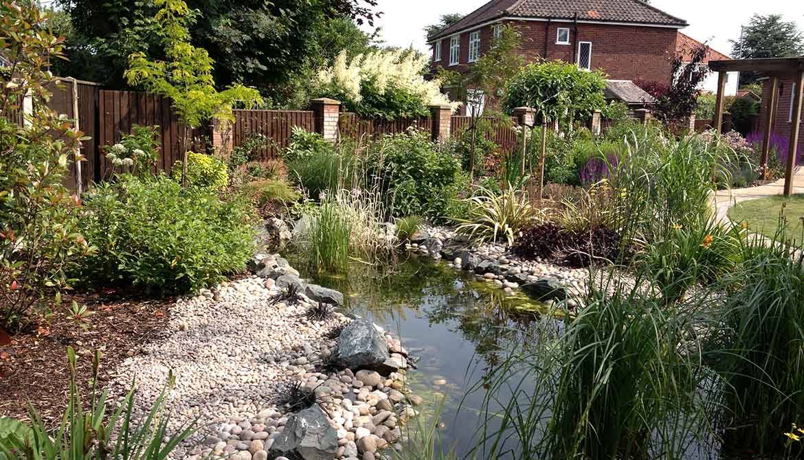 Landscape design of a pond and garden