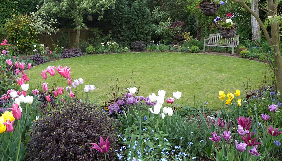 Traditional English garden in Norwich