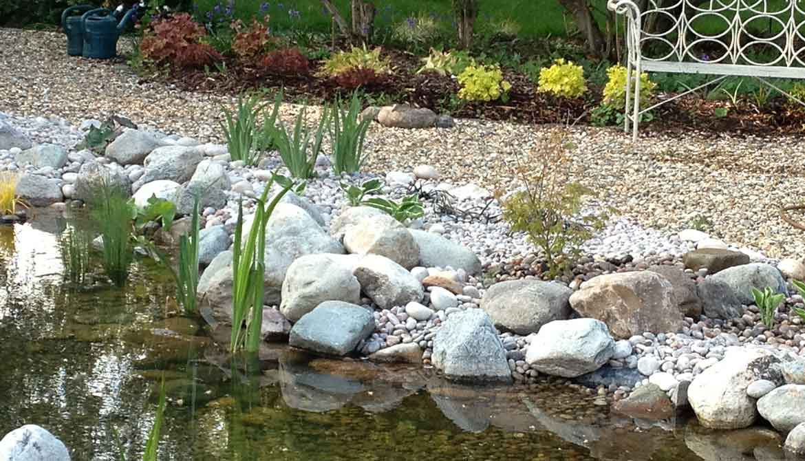 Water planting in a wildlife friendly pebble pond