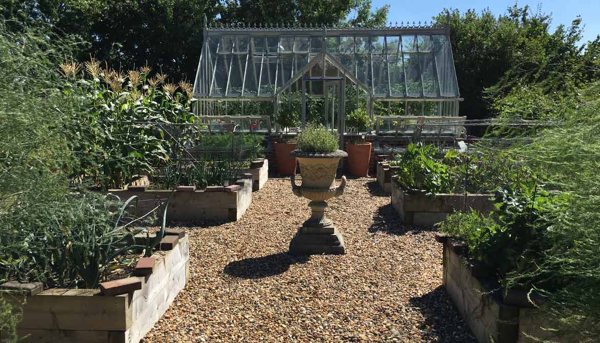 Large exposed garden in Diss