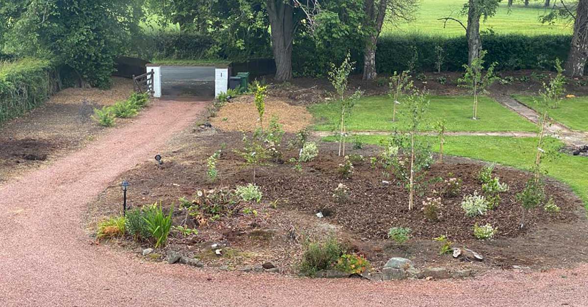 Garden designer's own garden in Cumbrai